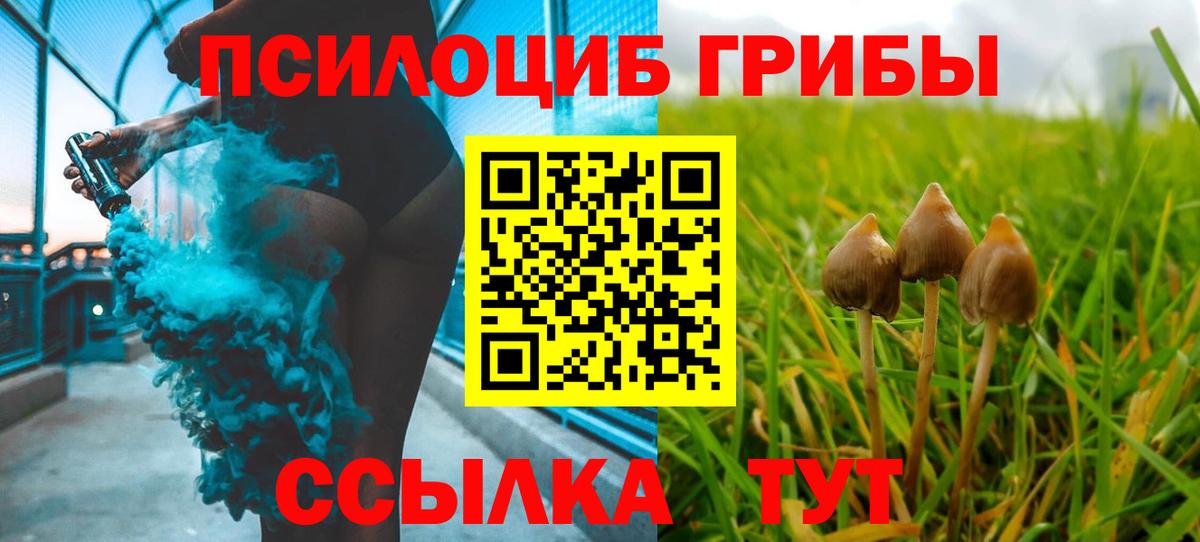 Вязники  Псилоцибиновые грибы MAGIC MUSHROOMS  Галлюциногенные грибы мицелий  Вход с VPN 